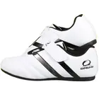 Новая обувь для карате, санды, mma, муай тай, дышащая обувь для тхэквондо для мужчин и женщин, специально разработанная Международная ассоциация тхэквондо