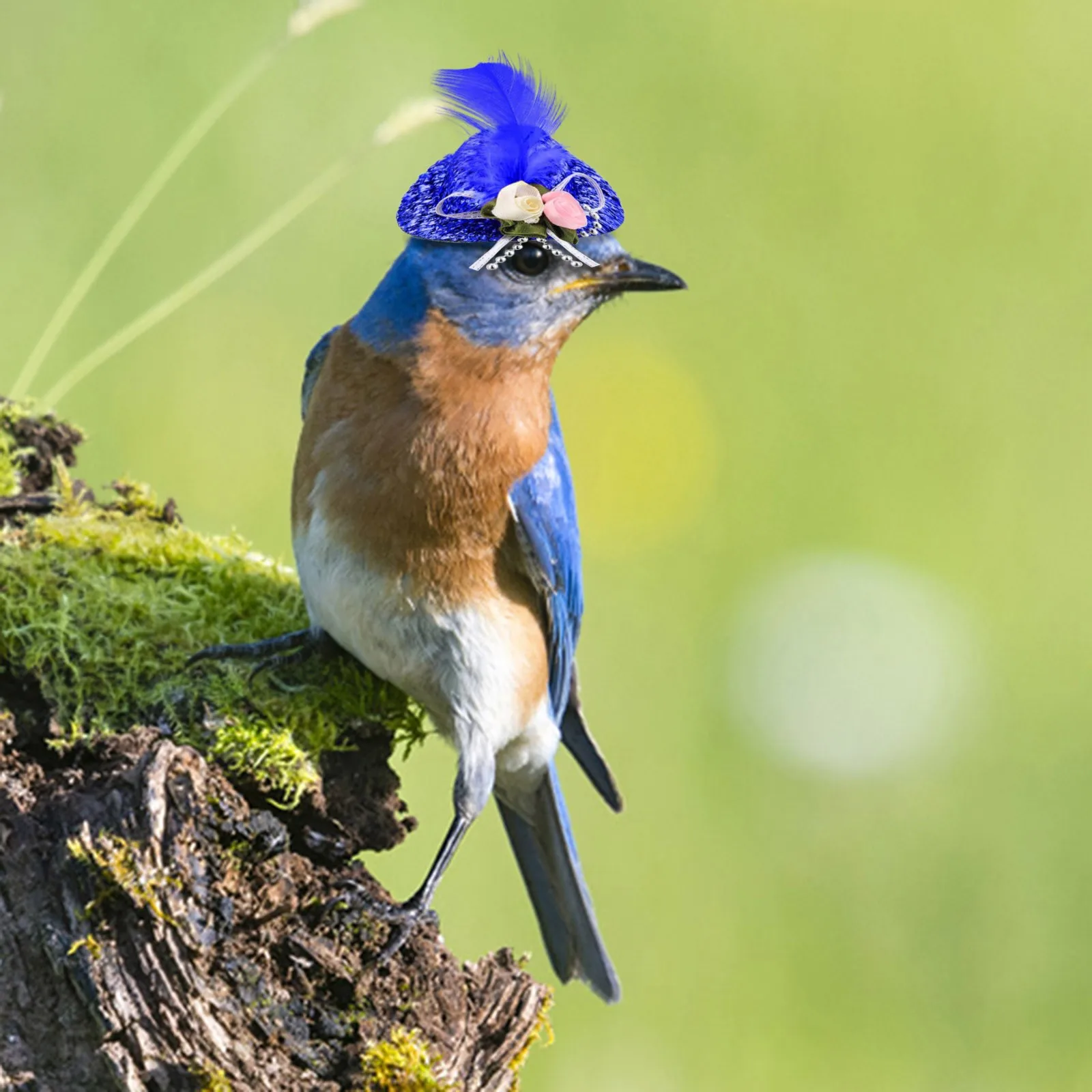 Куриные шляпы для курицы маленькие забавные аксессуары цилиндр с перьями собак