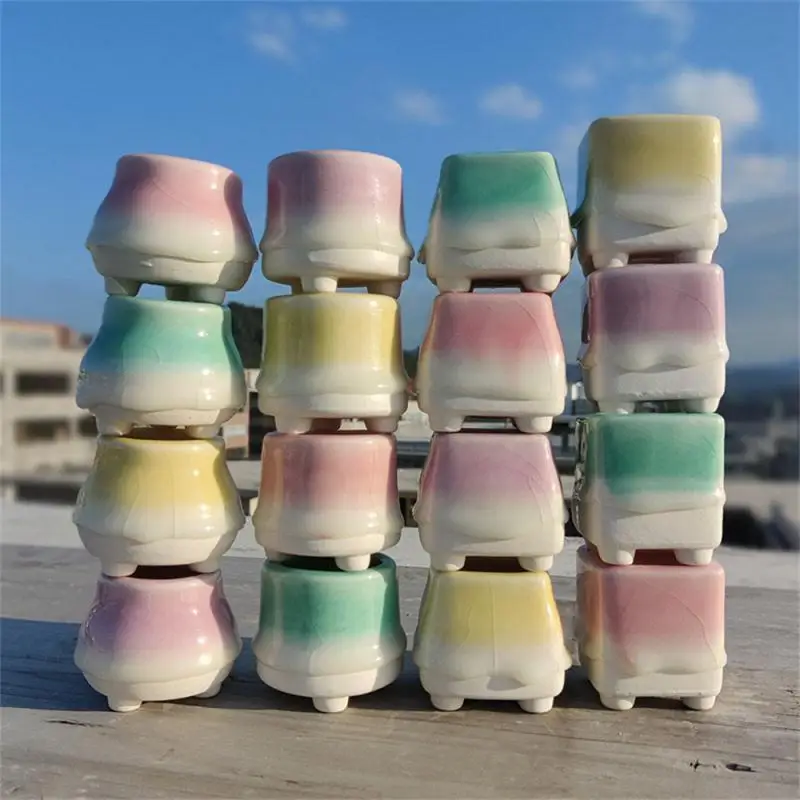 Глазурь керамический горшок для суккулентов без зеленых растений мясистый