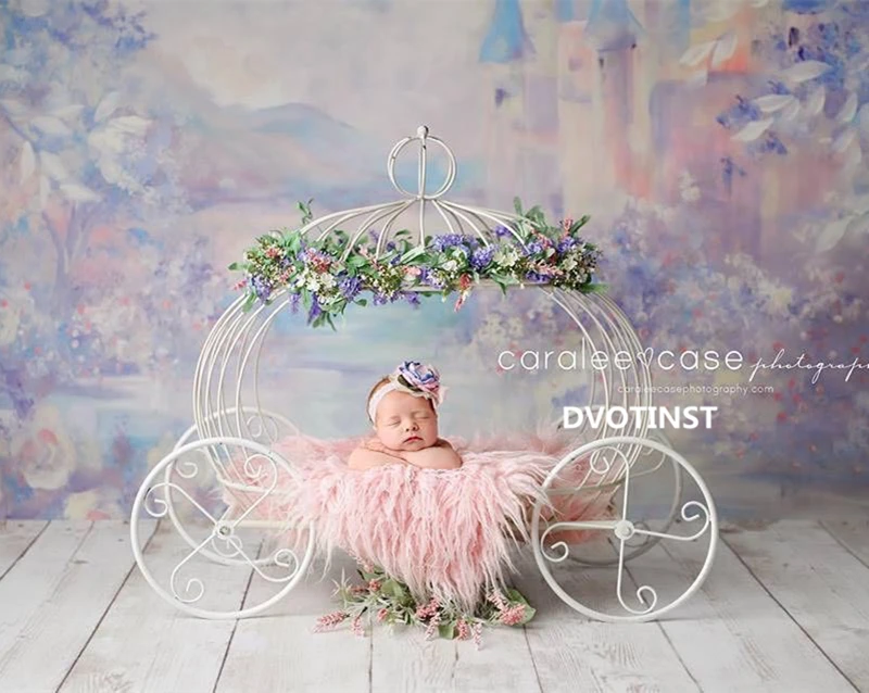 Dvotinst Newborn Photography Props Baby Iron Princess Cinderella Carriage Prop Posing Pumpkin Car Poser Fotografia Photo Props