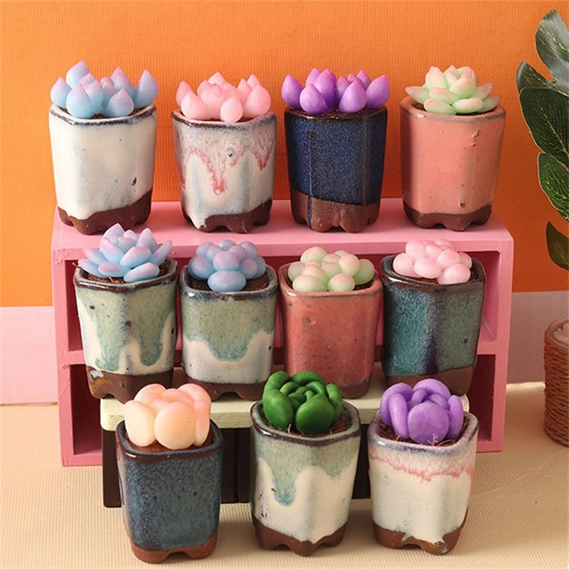 

1:6 Dollhouse Miniature Potted Plant Succulent Pot Bonsai Model Home Garden Decor Toy Doll House Accessories