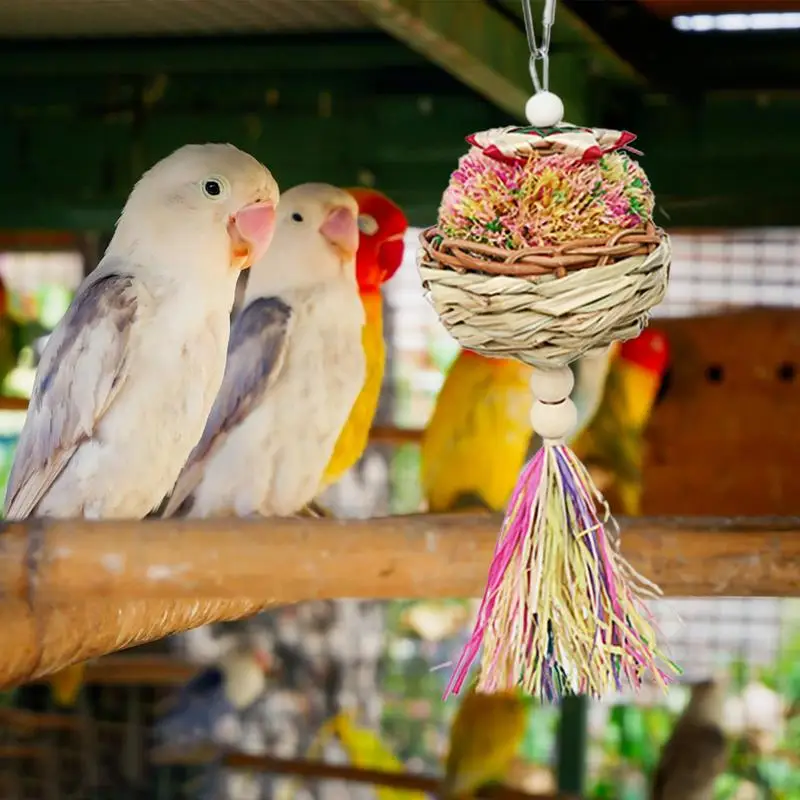 

Bird Chewing Toys Bird Toys Parrot Accessories Chewing Toys Colorful Comfy Perch Parrot Toys Foraging Bird Chew Toy Colored