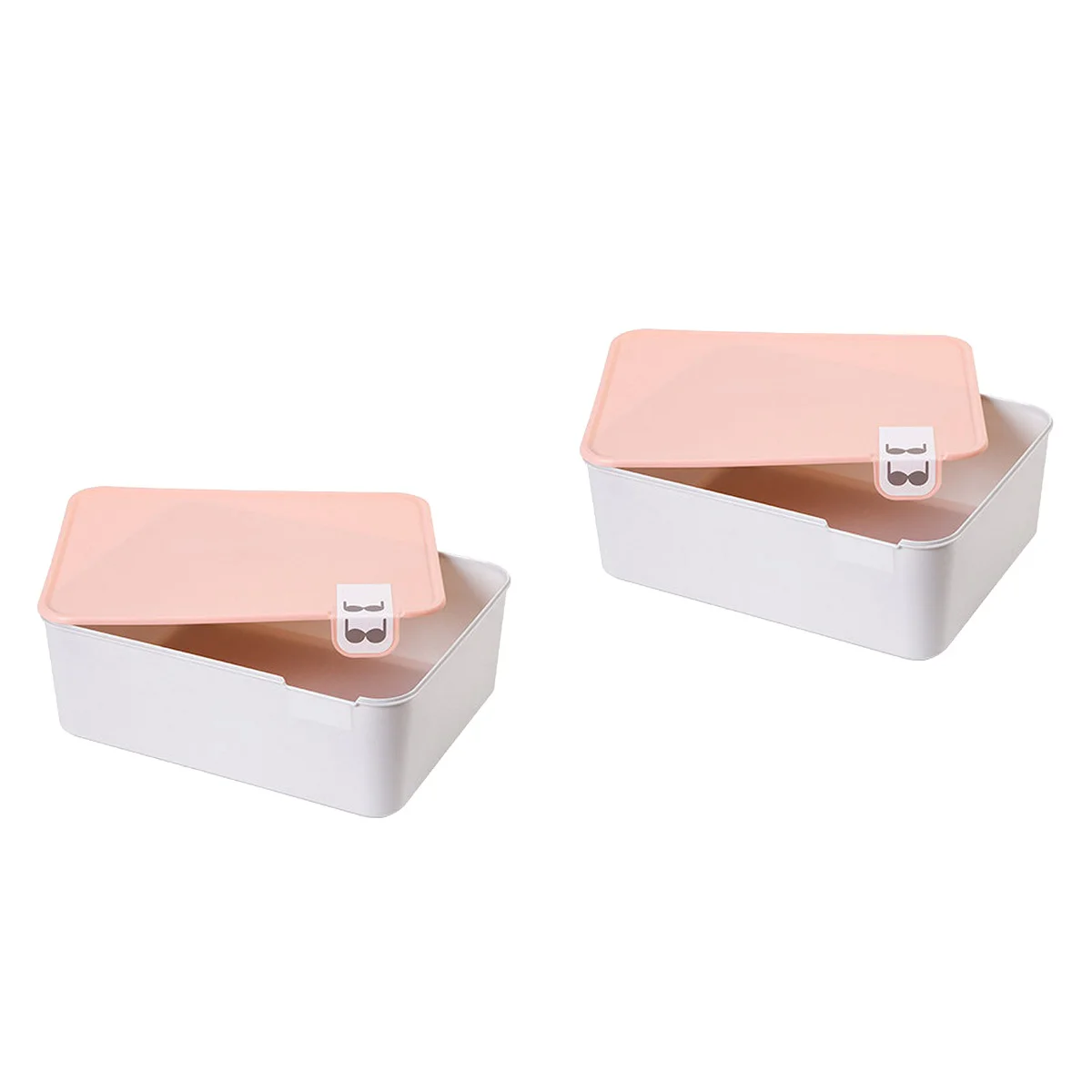 

2 PC Box Storage Plastic Organizer Underskirt Case Drawer