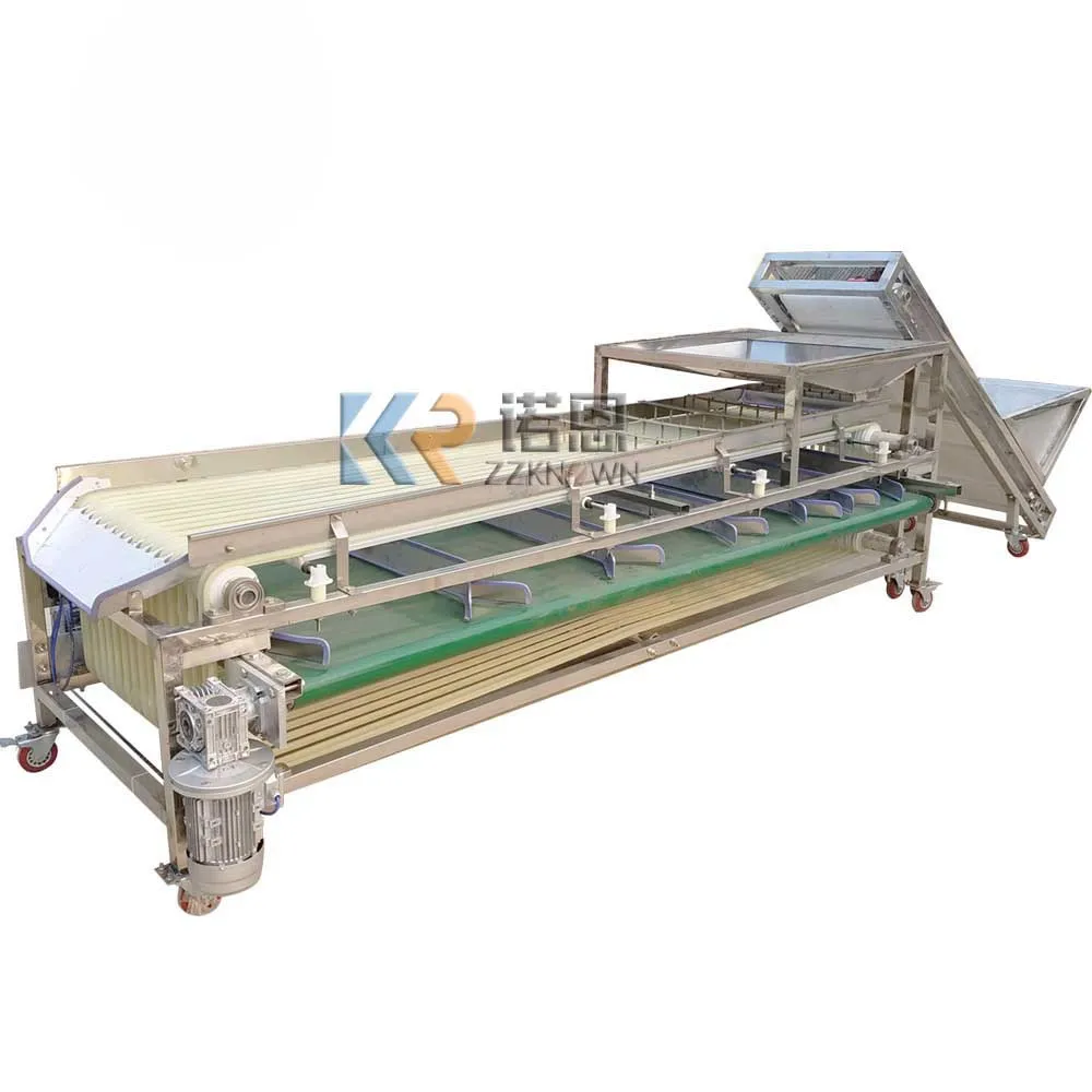 

Automatic Dates Sorting Machine Stainless Steel Processing Dates Size Grading Machine for Passion Onion Fruit Vegetables