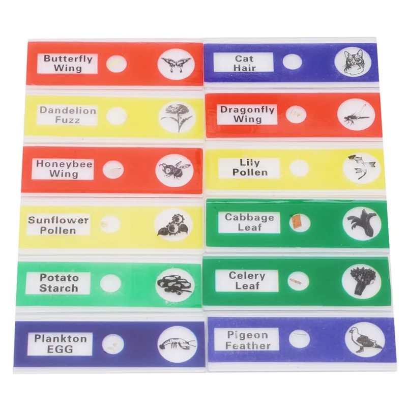 

12pcs/set Students Educational Plastic Prepared Microscope Slides Biological Specimen Toy Kids Microscope Birthday Gift