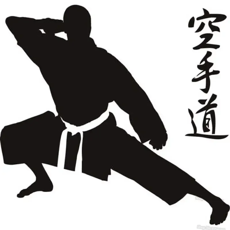 Виниловые наклейки на стену в стиле боевых искусств символов поза экстремальные