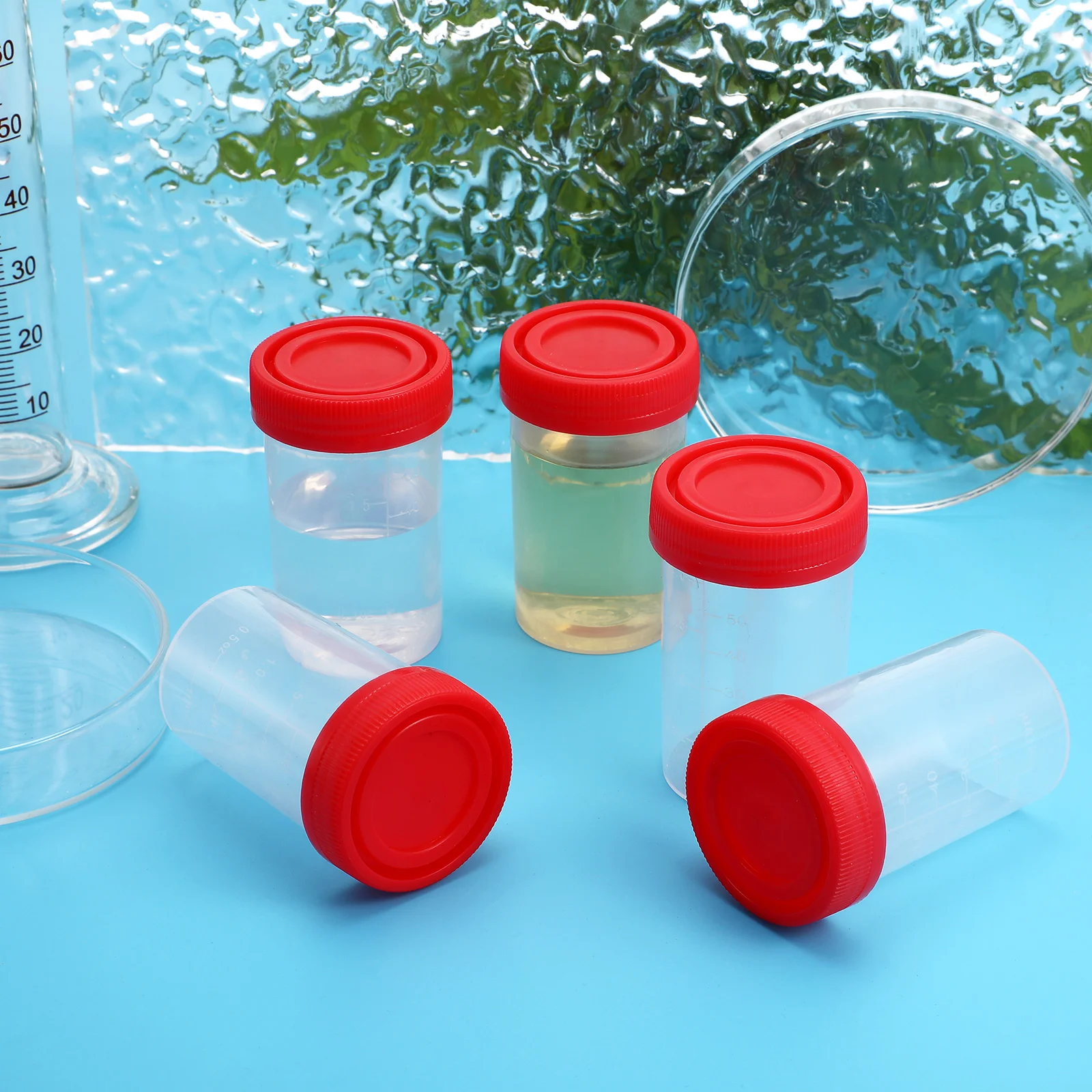 

10 Pcs Sampling Cup Urine Sample Bottles Small Depotting Makeup Containers Lid Plastic Travel