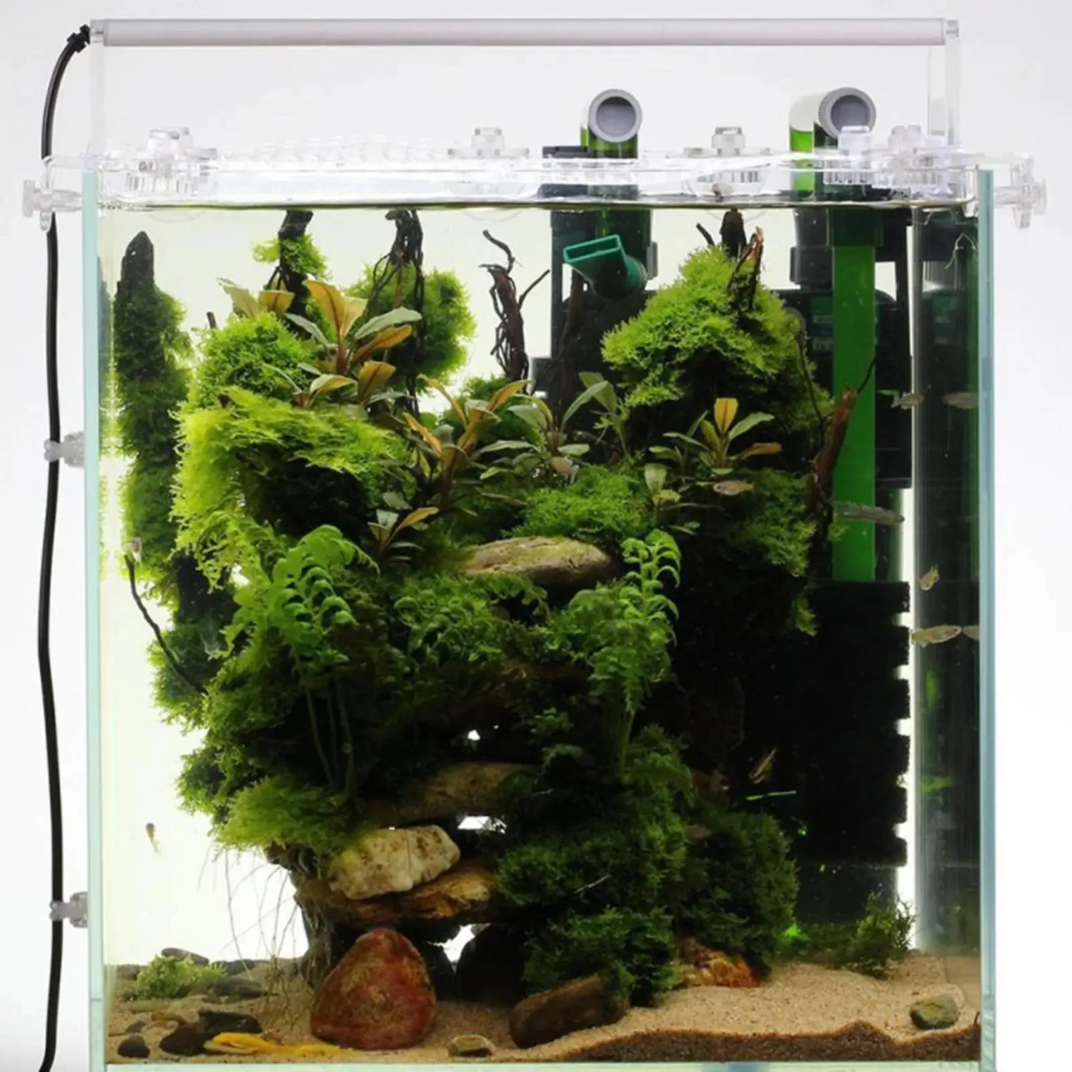 Улучшите свою безопасность аквариума с помощью высококачественного прочного