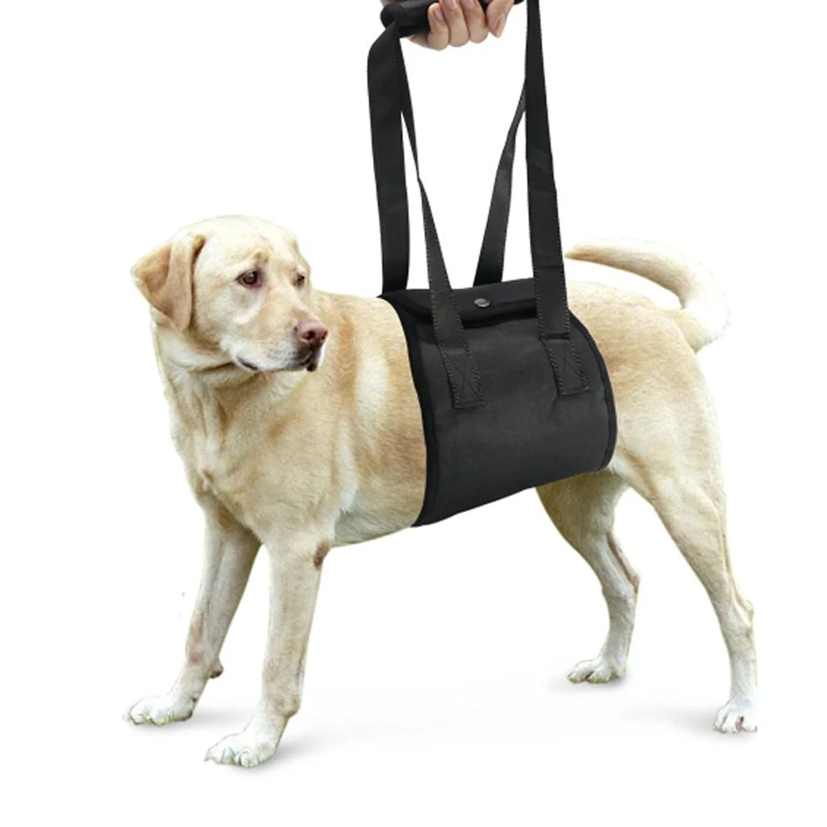 

Dog Harness Support Lift Large Legs Vest Leg Rehabilitation Hind Dogs Sling Wheelchair Lifting Assist Backpack Hook Emotional