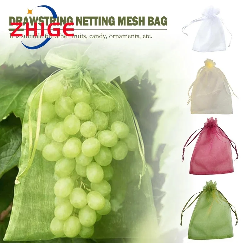 

20pcs Strawberry Grapes Garden Mesh Bags Fruit Protection Bags Agricultural Orchard Pest Control Anti-Bird Netting Vegetable Bag