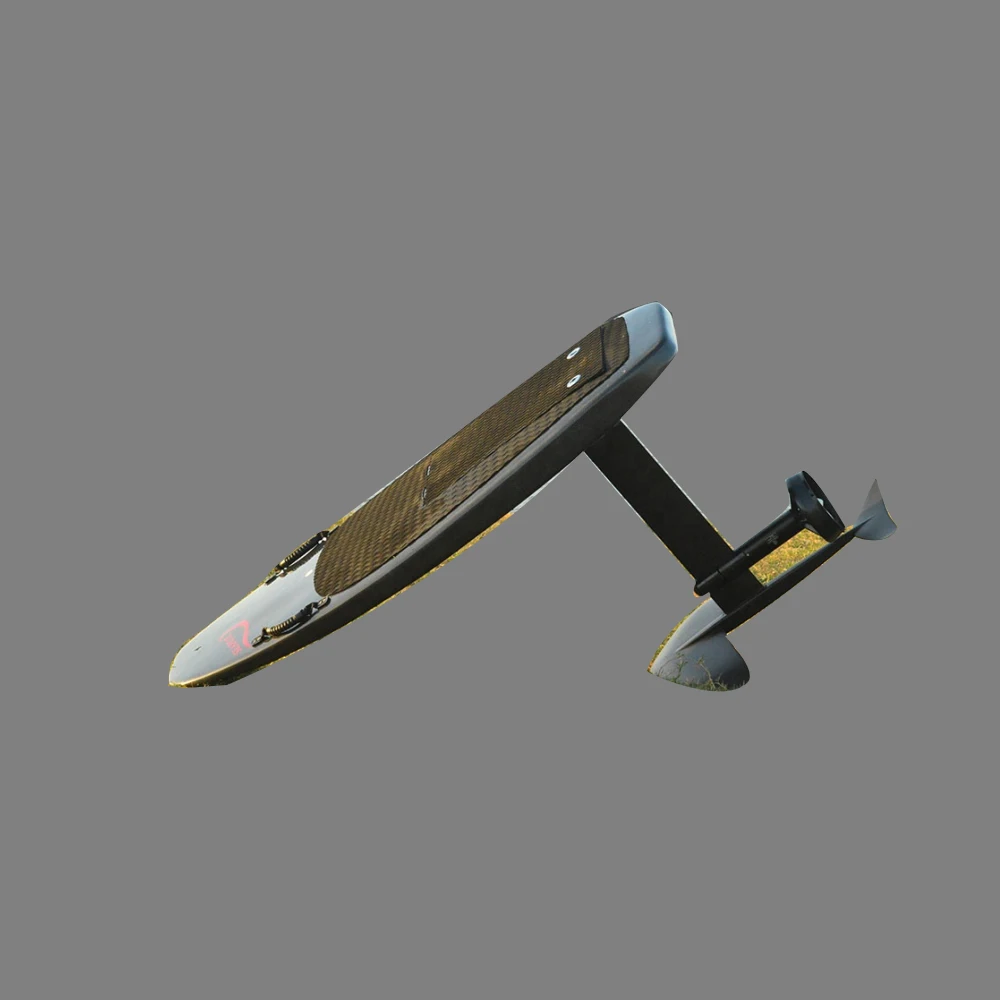 Рисунок 2 - Доска для серфинга с электродвигателем