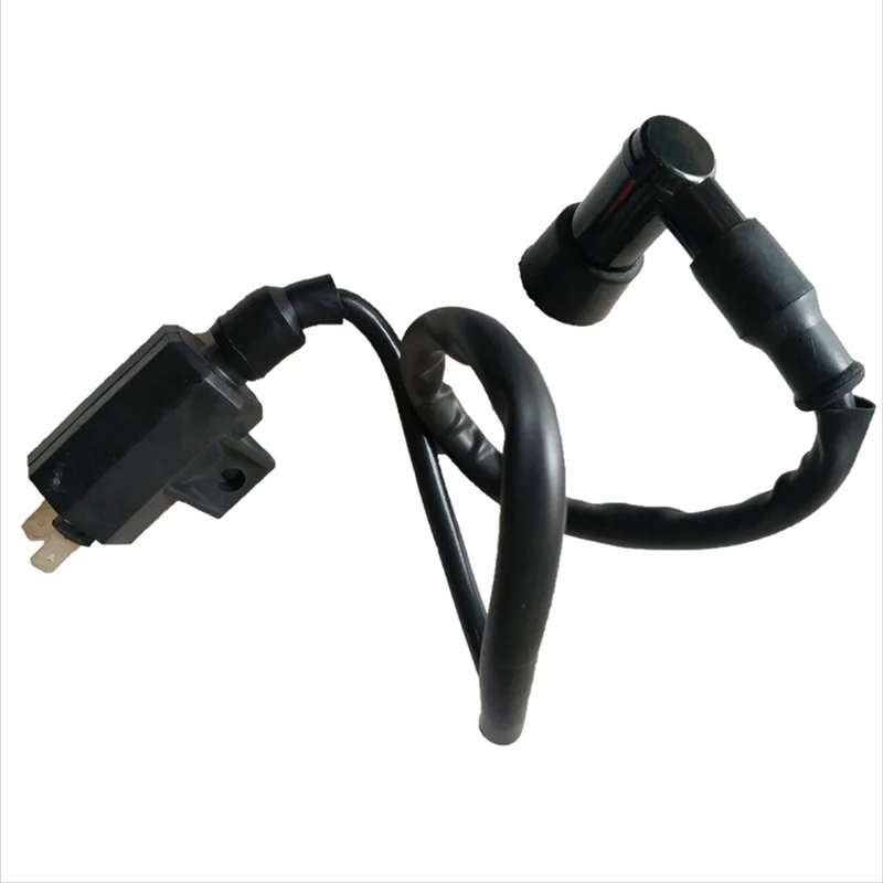 Катушка зажигания подходит для 21121-1160 21121-1198 220 KVF 360 400