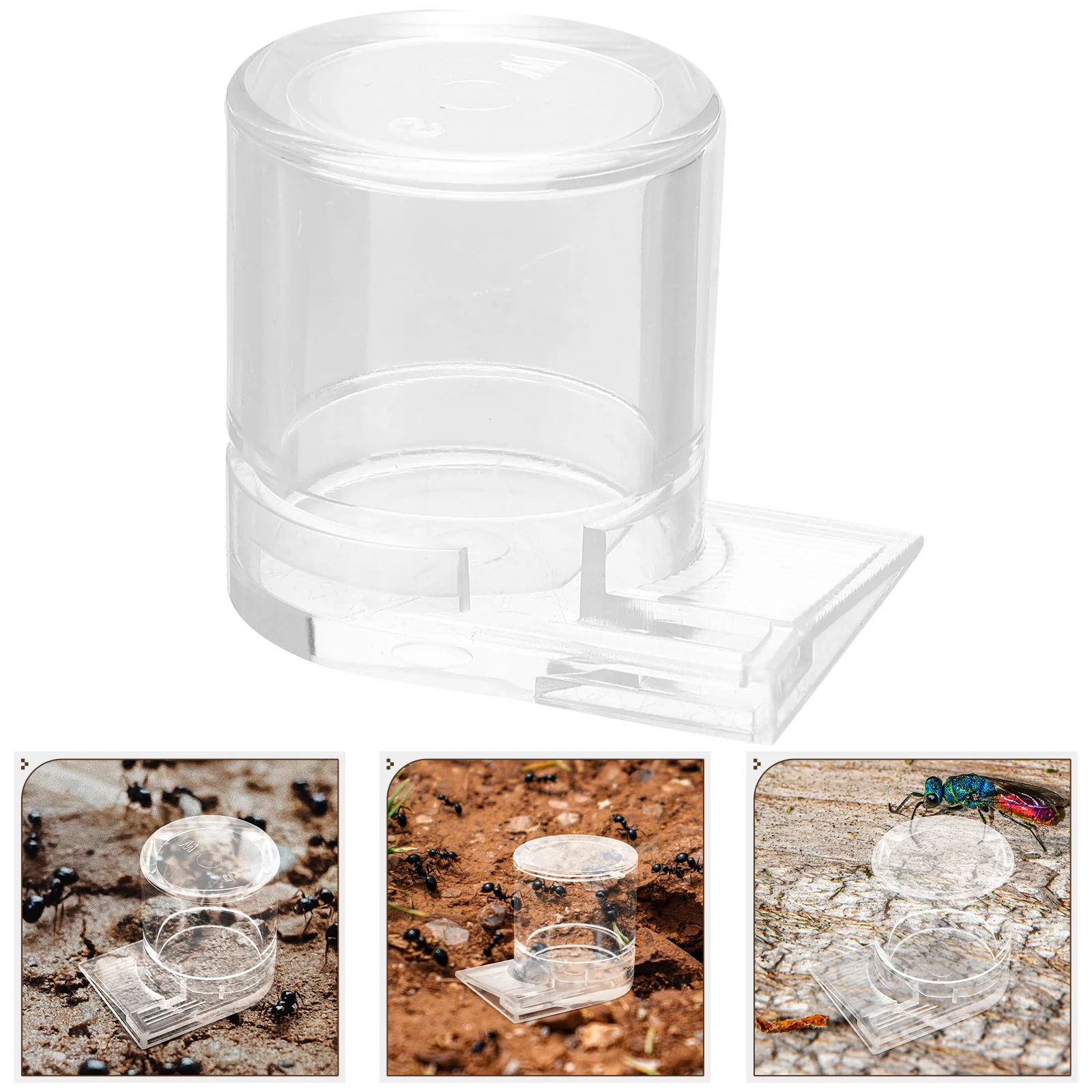 

Pet Water Feeder Ant Bottle Ants Waterer Nest Automatic Cup Plastic Cups Garden Clear