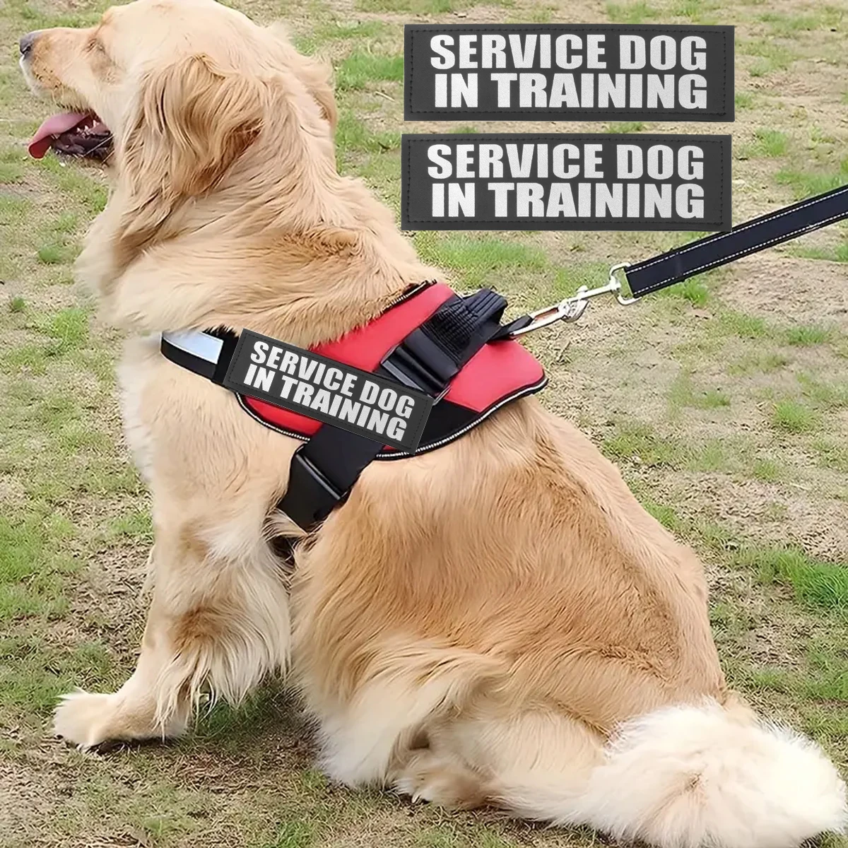 Пользовательские идентификационные бирки для собак шлейки имя домашнего