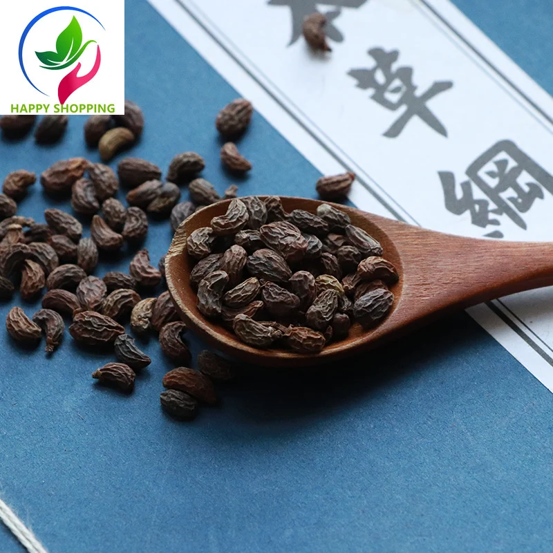 Фрукты глянцевого лигустрия люцида бесплатная доставка Холли люцид zhenzi |