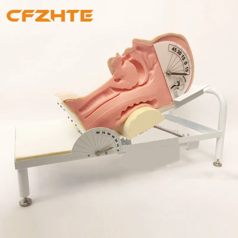 

Усовершенствованная модель механизма проглатывания