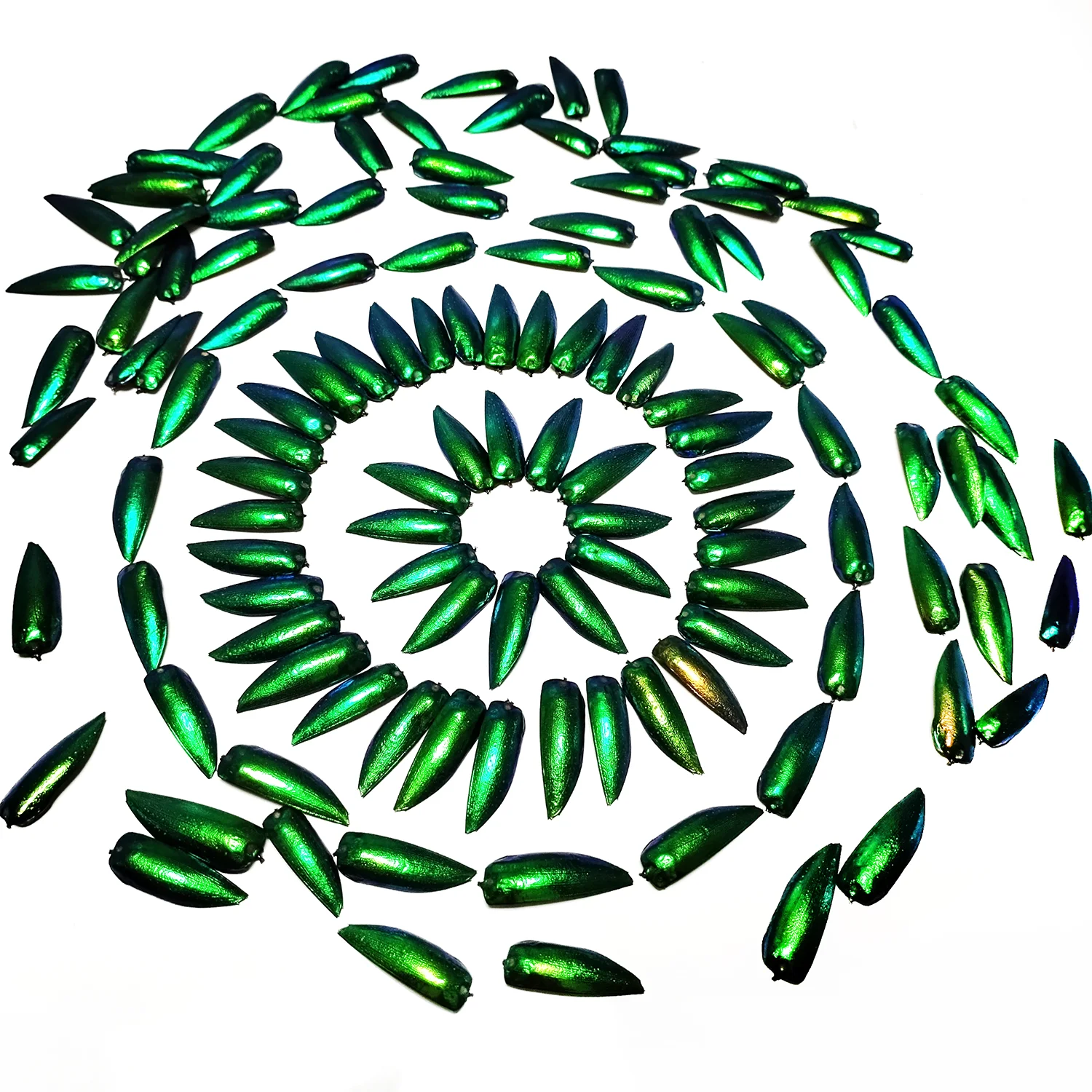 Набор украшений из крыльев жуков Elytra  Emerald Green клим а жуков инцидент покет проза