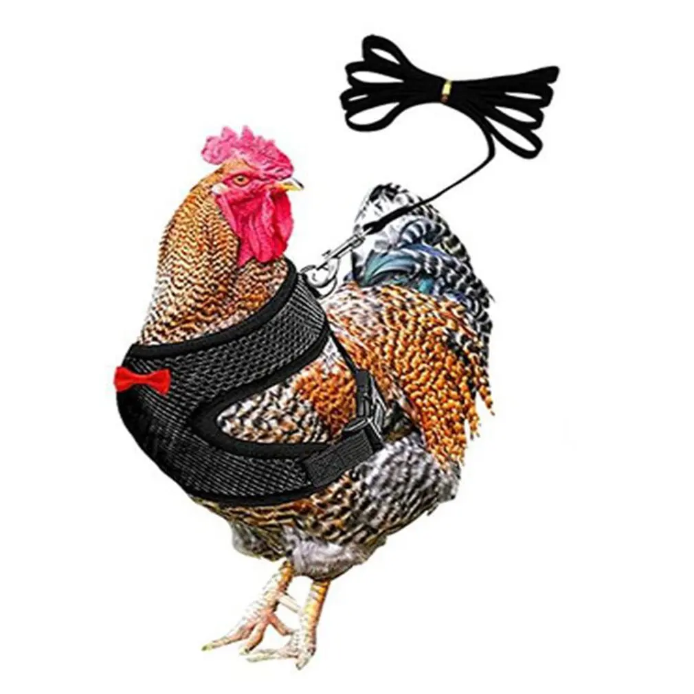 

Poultry Chest Strap Lively And More Healthier For Chicken Duck Goose Lightweight And Portable Chest Strap