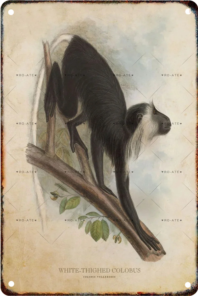 Металлический знак Ретро Дикая природа Белый медведь Кенгуру Деревенские