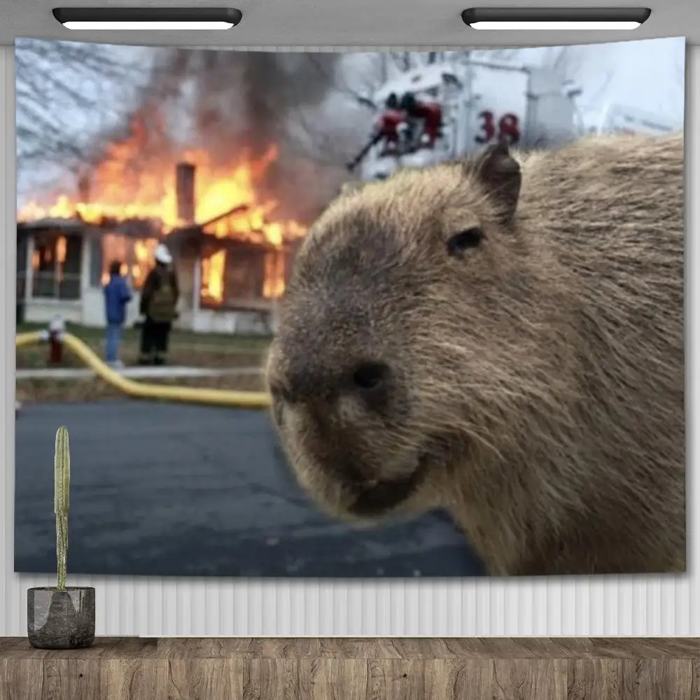 Capybara rock rust фото 38