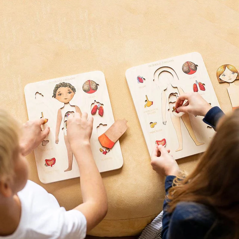 

Montessori Wooden Toys Human Body Puzzles Organs Educational Wooden Jigsaw Boys Girls Anatomy Play Set Match Board Game Gifts