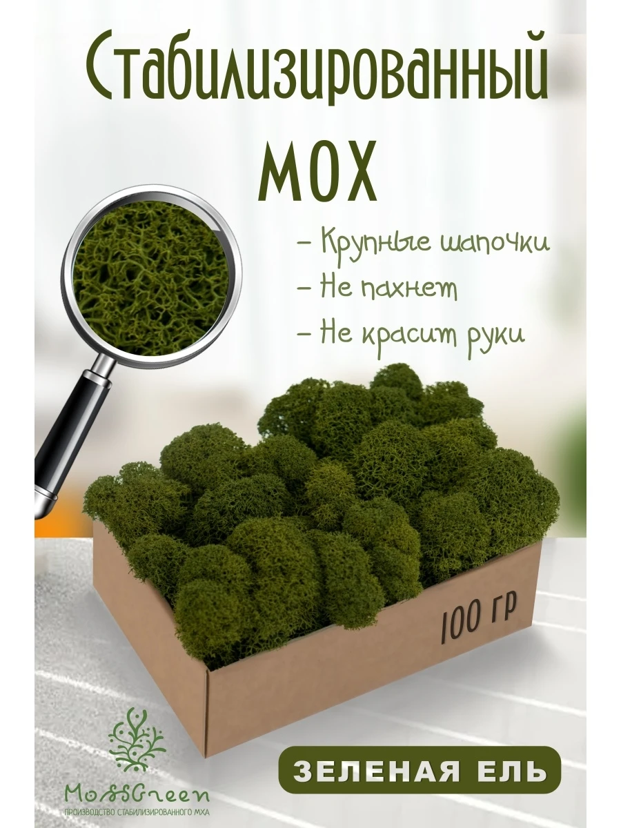 Мох стабилизированный 100 гр/мох ягеля MossGreen цвет 1 зеленая ель |