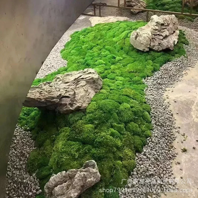 

Artificial Moss Stone Preserved Moss Flower Fairy Garden DIY Decor Miniatures Bonsai Terrarium Moss Home Shop Decoration