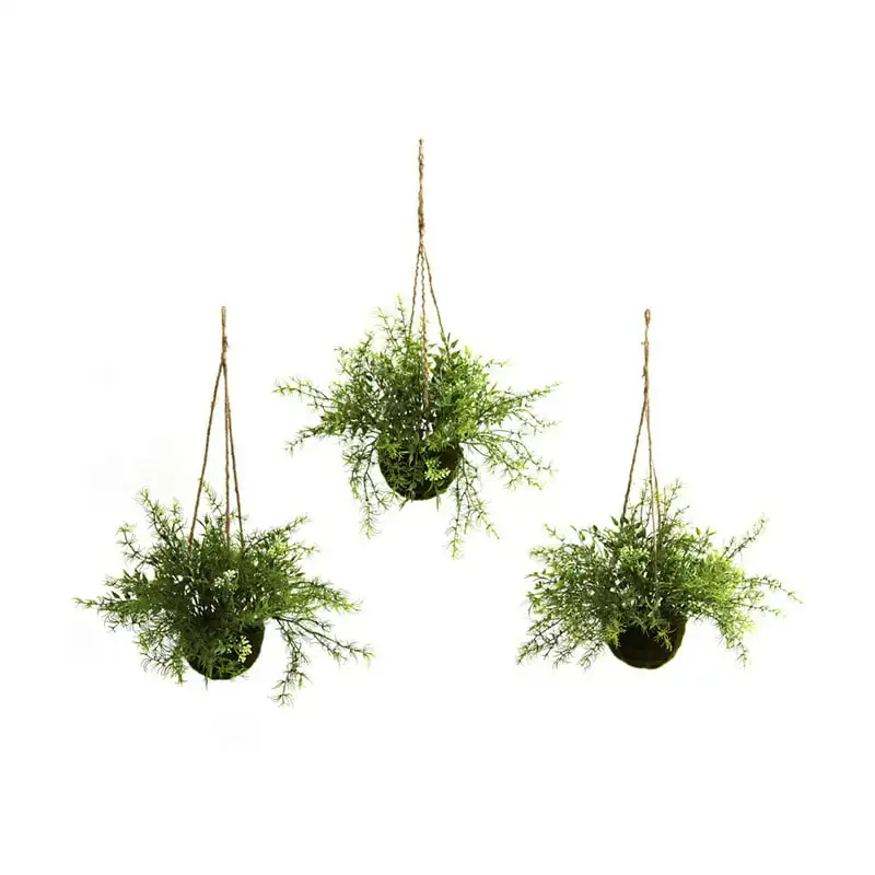 

Mini Ruscus, Sedum & Sprengeri Green Plastic Artificial Plants in Hanging Basket (3 Pieces)