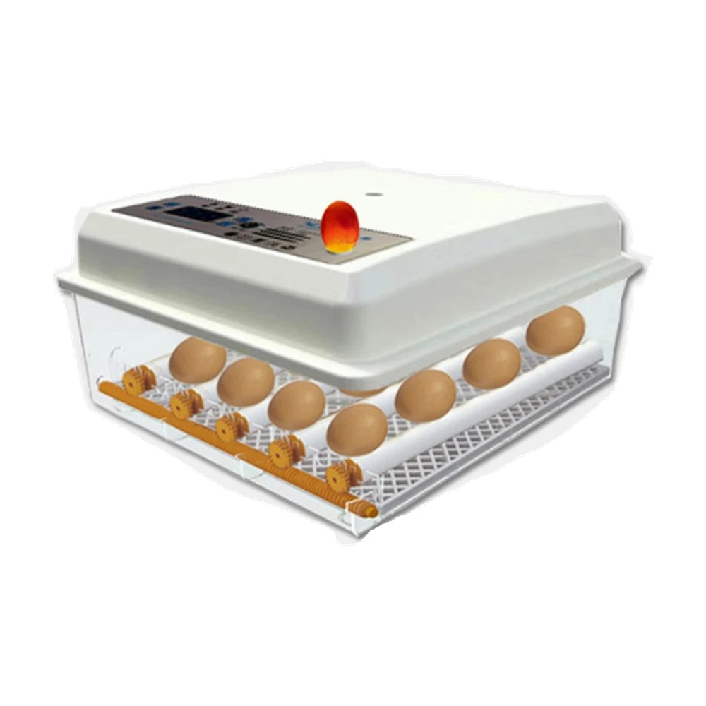 

Egg Tray LCD Controller Show Humidity Sensor Temperature Sensor Various Voltage Household Micro Incubators For Chicken Bird Emu