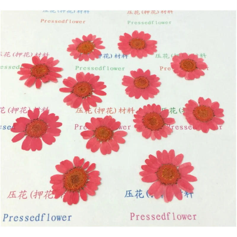 

50pcs Nail Dried Flower Art Decorations Parts Color Mixed Small Daisy Sunflower Nails Accessories Nail Supplies For Professional