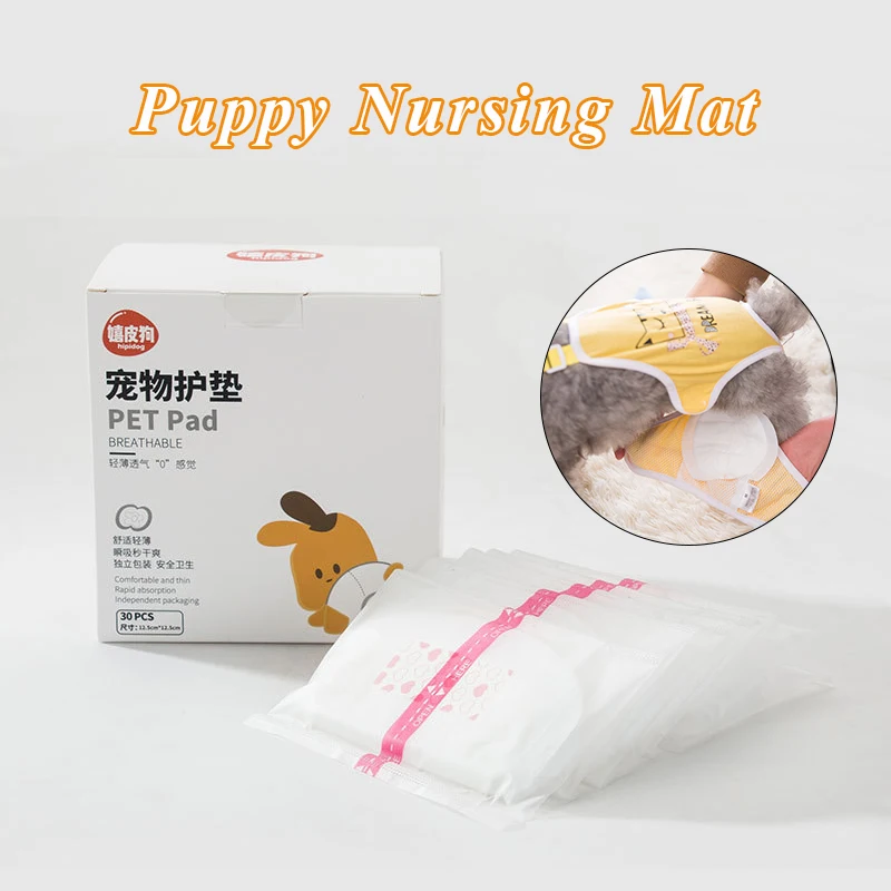 

Disposable Pet Diaper Breathable Dog Physiological Pant Diaper Male Dog Sanitary Pads Safety Hygienic Comfort Clean Dog Diapers