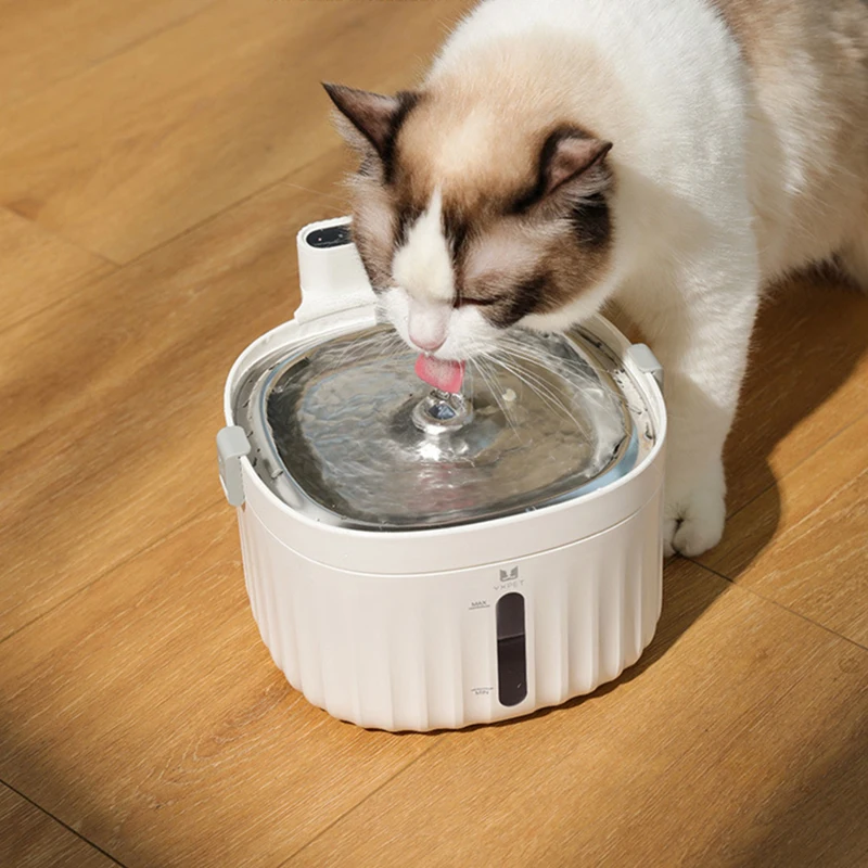 

2L Battery Operated Cat Water Fountain Wireless Motion Sensor Dog Dispenser Filter Automatic Drinker Stainless Steel Pet Feeder