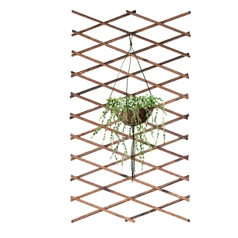 

Lattice Fence Panels Expandable Garden Fence Wall Panel Plant Support Willow Lattice Fence Panel For Plants Vine Vegetables
