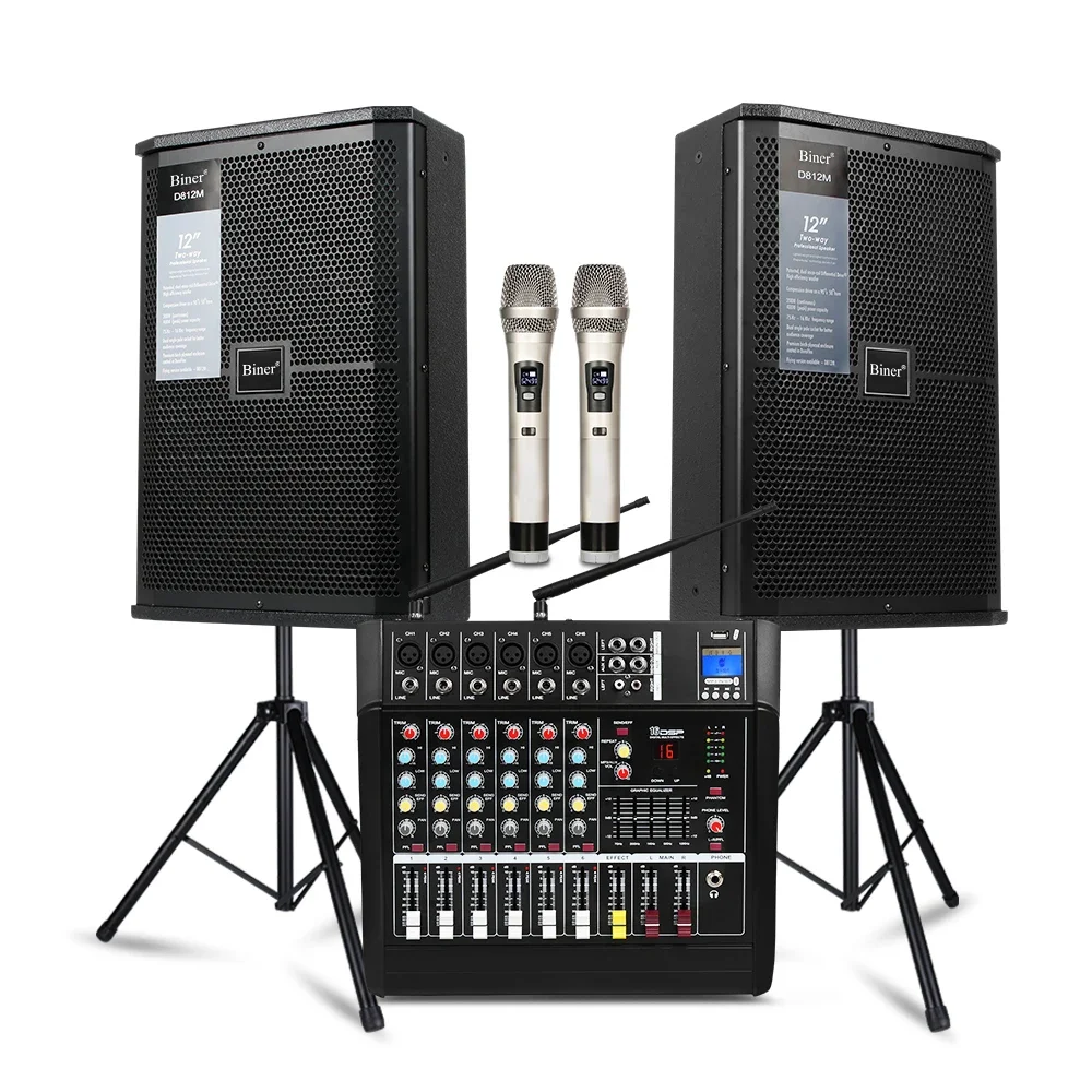 Высококачественный одинарный 12-дюймовый звуковой динамик Biner D812 с