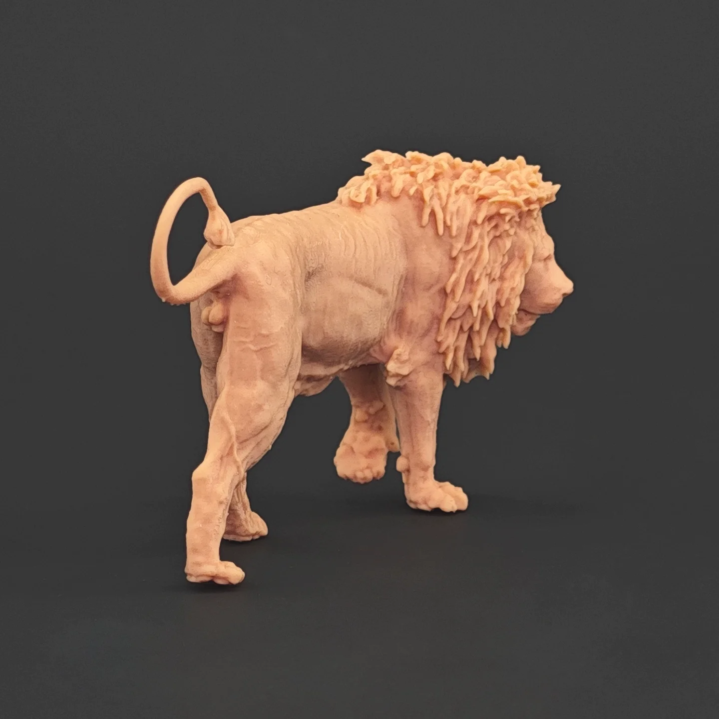 Фото 1/35 6,8-13 см Panthera leo Модель игрушки Древняя доисторическая модель животного Gk Настроить 3D-печать №2