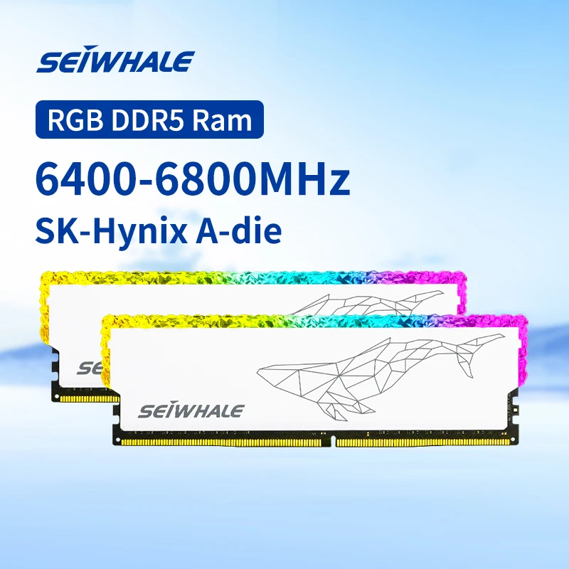 SEIWHALE RGB Ram DDR5 16GB 6400MHz  6800MHz Memory RAM Kit 16GBx2 6400MHz 6800MHz UDIMM XMP3.0 Memoria Ram Desktop for PC