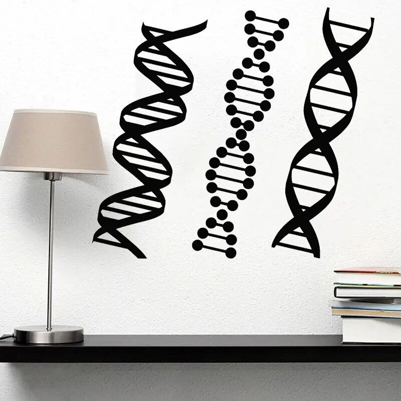 

DNA Genealogy Wall Sticker Biology Chemistry Decal School Science Class Decoration Home Decor Bedroom Mural Poster