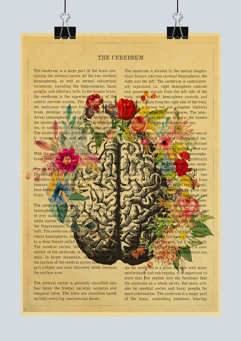 Медицинский плакат 