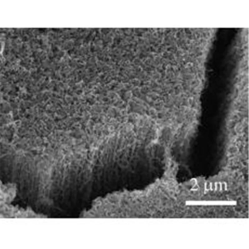 Stainless steel sheet loaded vertical carbon nanotube array