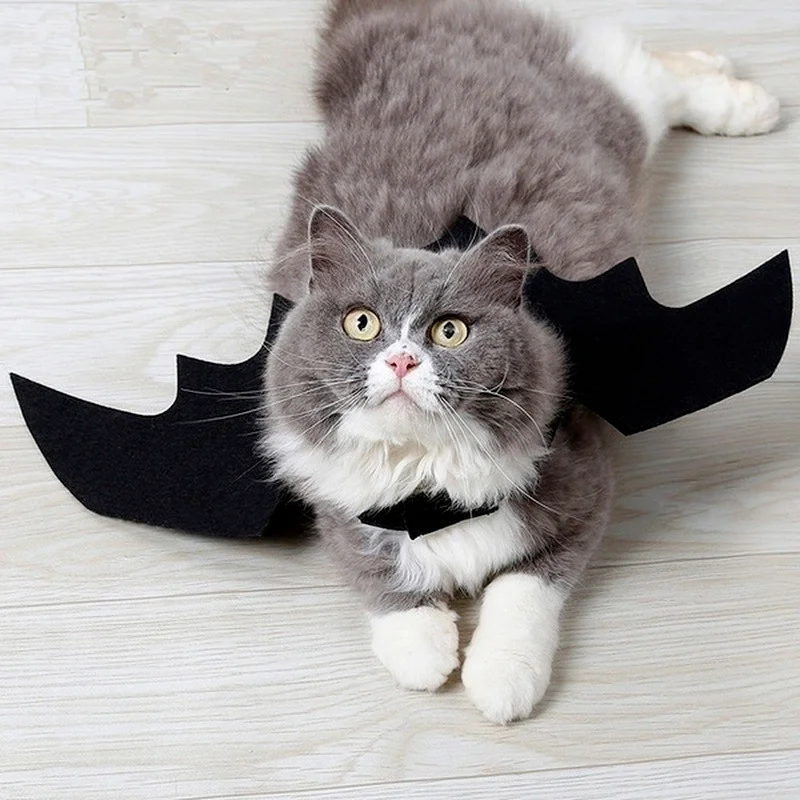 Pet Halloween Costume Cat Cosplay Bat Wings Suit Suitable for Cats and Dogs Accessories Supplies |