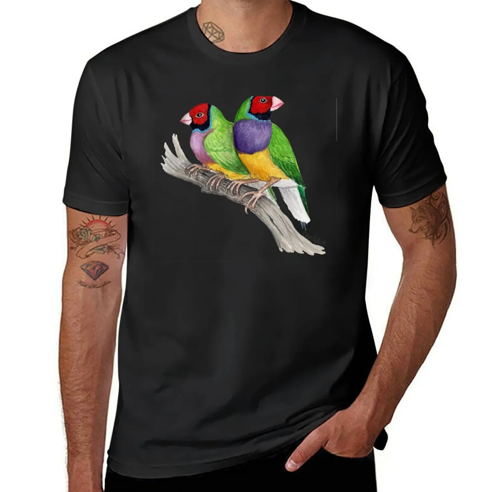 Gouldian Finches футболка funnys для мальчика черные футболки мужчин
