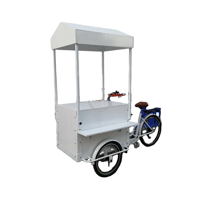 

3 Wheels Commercial Flower Vending Tricycle Cargo Bike Food Bicycle Electric Trike for sale with Canopy