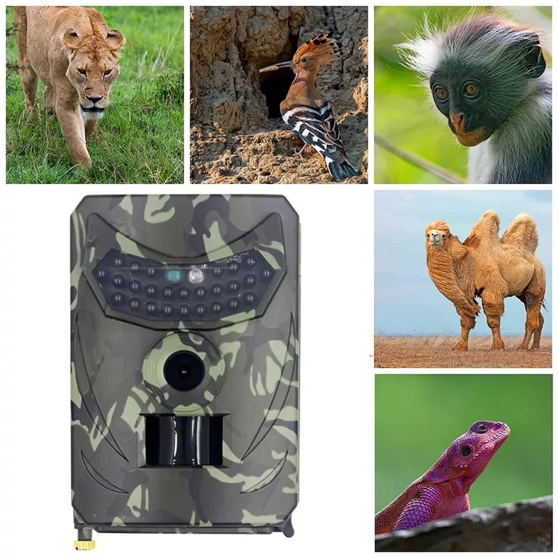 

Camera Wildlife Game Trail IR Camera 0.8S Trigger Time One Year Long Standby 3MP Color CMOS 120° Wild Lens IP56