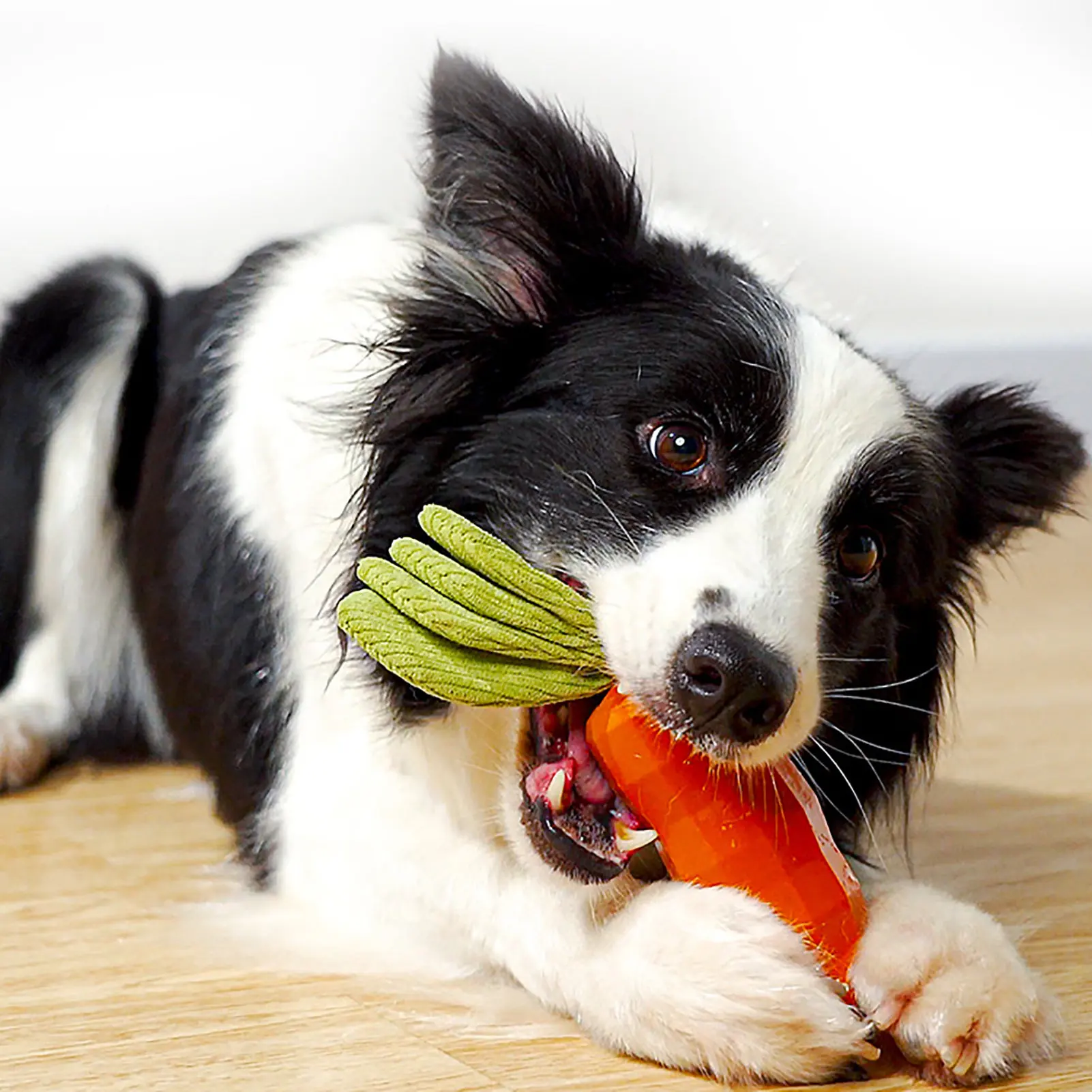 

Dog Squeaky Chew Toys For Aggressive Chewers Indestructible Tough Rubber Carrot Dog Toys For Large Medium Puppies Interactive