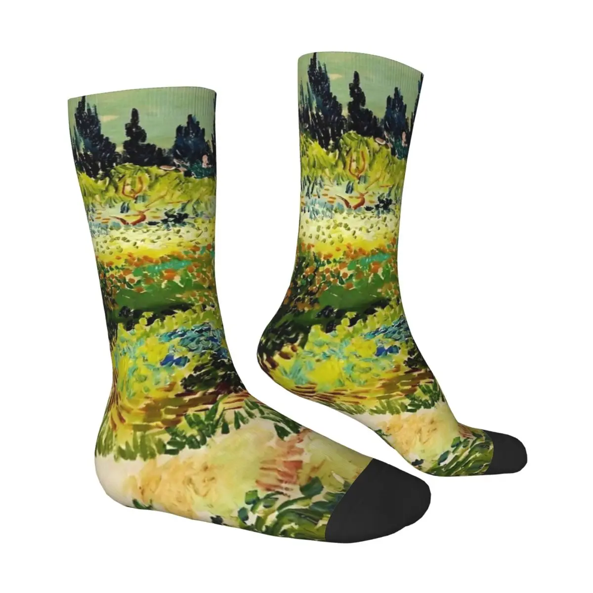 Носки Van Gogh осенние чулки Garden at Arles модные женские и мужские удобные носки