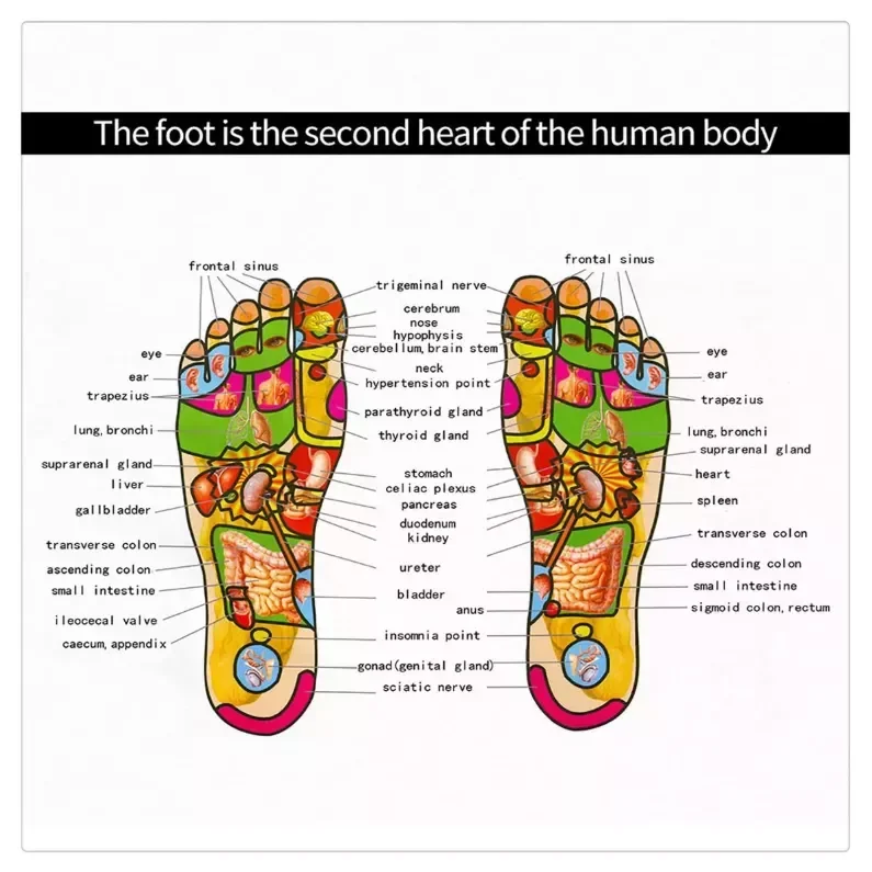 

NEW2023 IN Foot Massage Mat Fitness