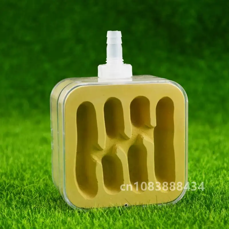 Имитация муравьев экологическое гнездо маленький самолет внешнее гипсовое