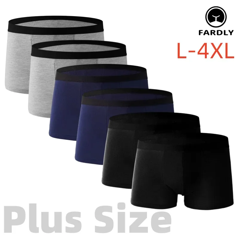 

6pcs/lot Men's Brand Underwear Boxers Antibacterial Shorts Elastic Moisture Absorption Breathable Men's Underwear Underpants