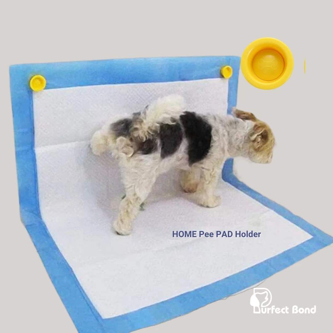 

Домашний держатель для мочеиспускания работает с любыми типами подкладок Wee для легкой очистки разметки и подъема ног у собак в помещении для тренировок в горшке