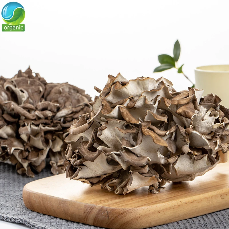 

Grifola Frondosa Tea,Organic Dried Maitake Mushroom Anti-cancer500-1000g Grifola Frondosa Powder